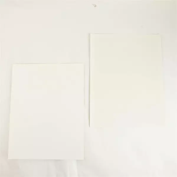 Lot of 2 Portland Winterhawks 8x10 Photos Joey Tetarenko Richard Zednik