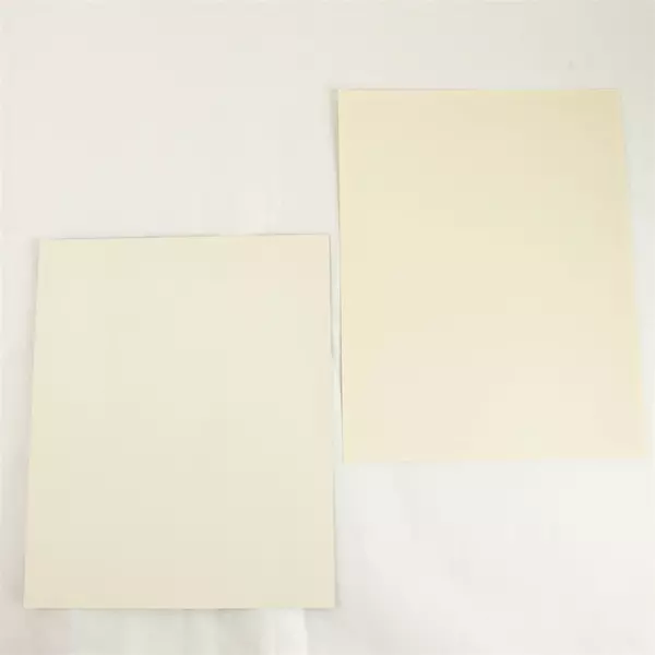 Lot of 2 Portland Winterhawks 8x10 Photos Scott Allison Kelly Harris