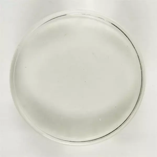 Clear Glass Paperweight Disc 4" Polished Edge Desktop Decor