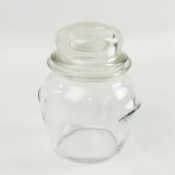 Gold Canyon Candle Co. Glass Candle Jar w/ Lid 6.25in