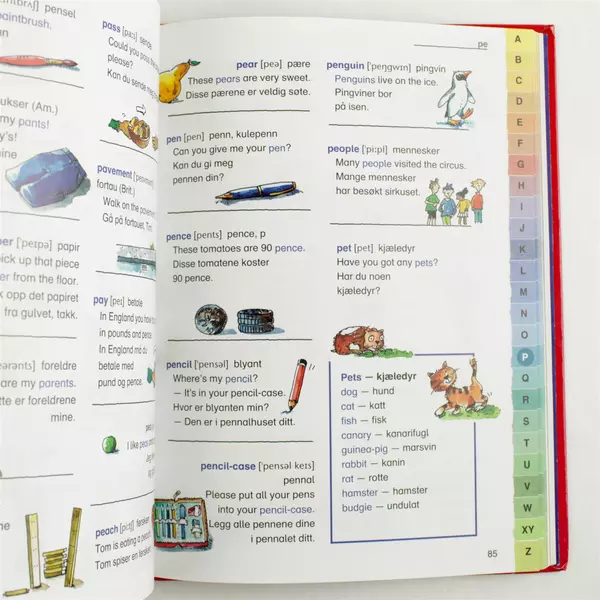 Illustrert Engelsk Ordbok Hardcover Illustrated English Dictionary Good