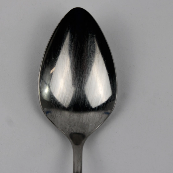 Wm A Rogers Silver Royal Harvest Pattern Stainless Serving Spoon 8.25"