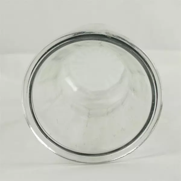 Clear Glass Garden Rose Vase 9.75in