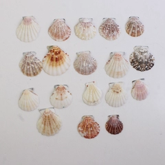 Lot of 18 Calico Scallop Seashells 1.5" to 2" Crafting SOME BROKEN