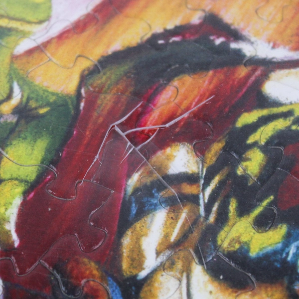 Framed Jigsaw Puzzle Vibrant Colors Frogs