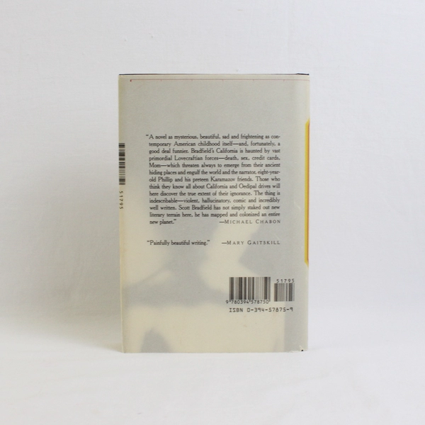 The History of Luminous Motion by Scott Bradfield 1989 HC DJ 1st American Ed