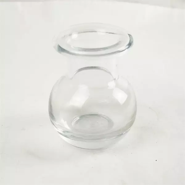 Clear Glass Hyacinth Forcing Vase Bulb Planter Tabletop