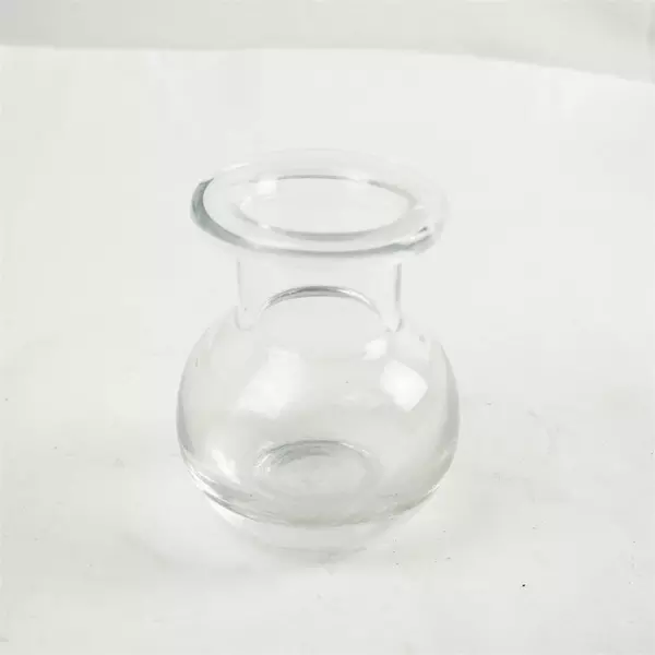Clear Glass Hyacinth Forcing Vase Bulb Planter Tabletop