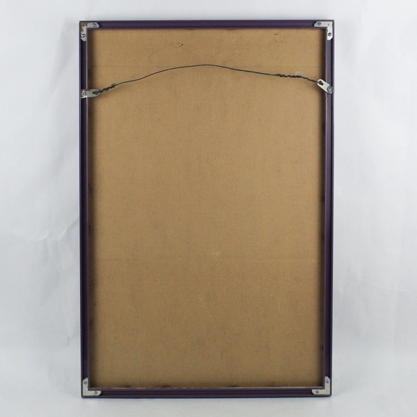 Colorful Clownfish by Royce Maclure Framed Art Print Signed