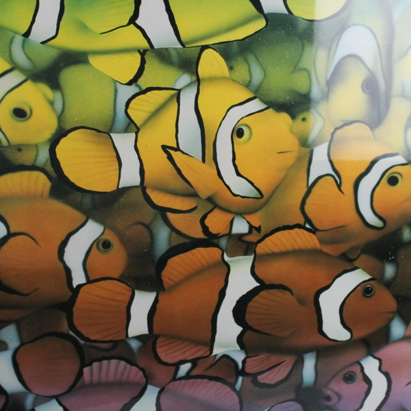 Colorful Clownfish by Royce Maclure Framed Art Print Signed