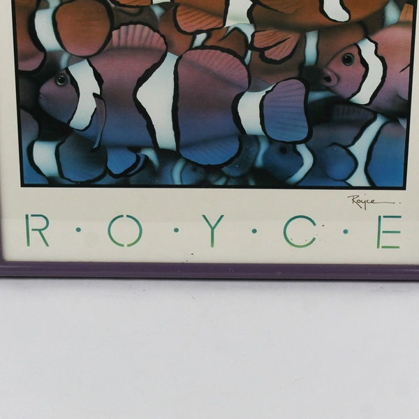 Colorful Clownfish by Royce Maclure Framed Art Print Signed