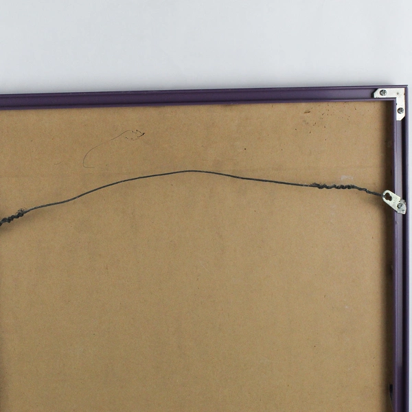 Colorful Clownfish by Royce Maclure Framed Art Print Signed