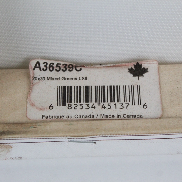 Mixed Greens LXII by Lisa Audit, Canvas Wall Art