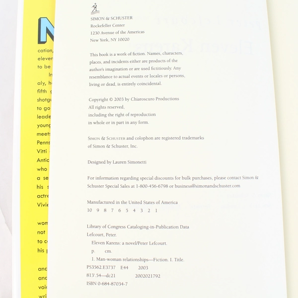 Eleven Karens A Novel by Peter Lefcourt 2003 Hardcover Dust Jacket