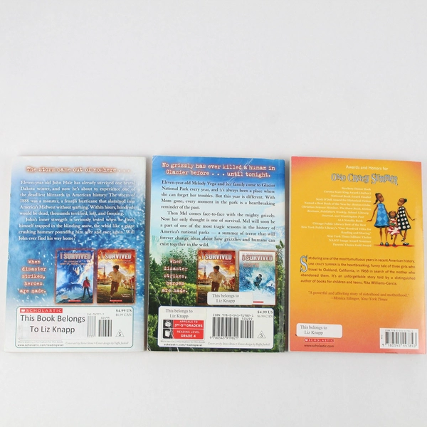 Lot of 3 Scholastic Books 2 From Lauren Tarshis 1 From Rita Williams-Garcia PB