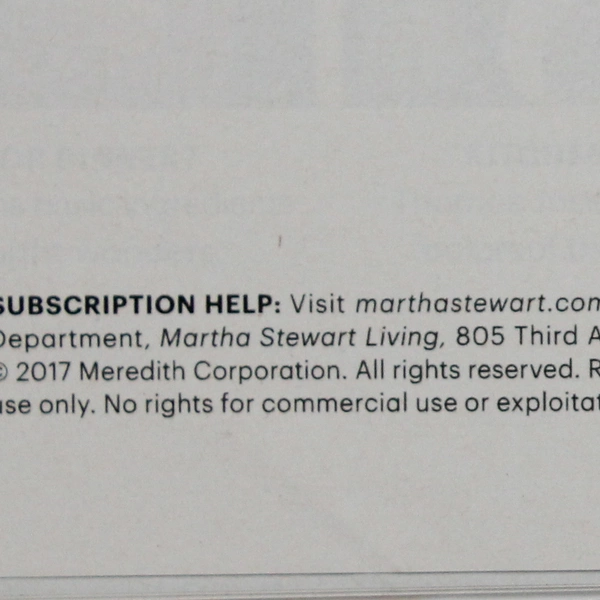 Martha Stewart Living November 2017 Features Fresh Takes on Tradition