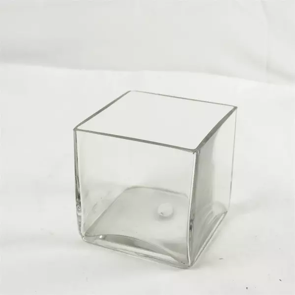 Xcell Clear Heavy Glass Cube Planter Vase 4.5x4.5x5in Thick Walls