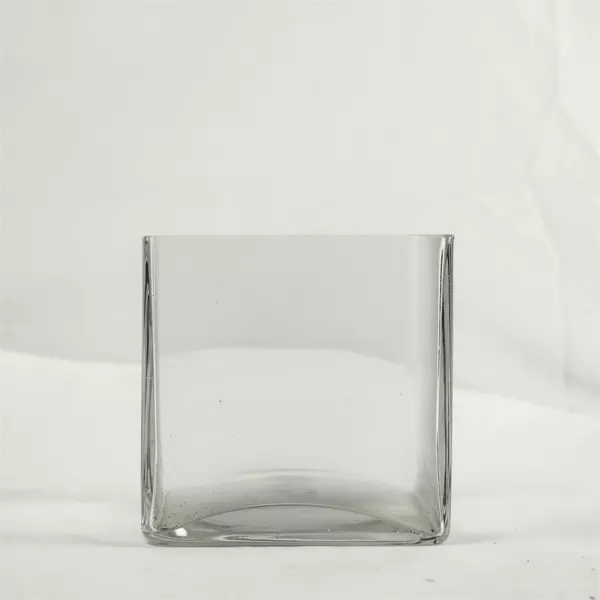 Xcell Clear Heavy Glass Cube Planter Vase 4.5x4.5x5in Thick Walls