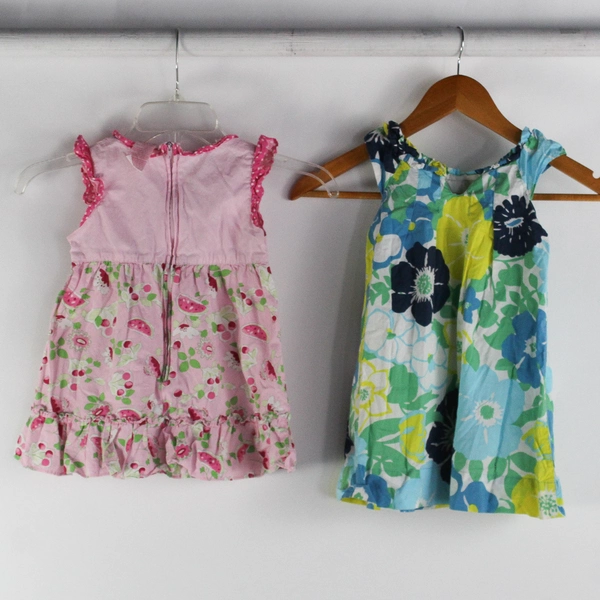 Lot of 2 Summer Dresses Cherokee Carter's Kids Size 3T