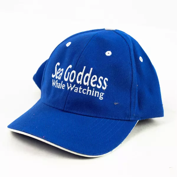 Sea Goddess Whale Watching Blue Adjustable Baseball Cap 