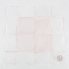 Vintage S Monogram Pink Embroidery On Sheer Handkerchief