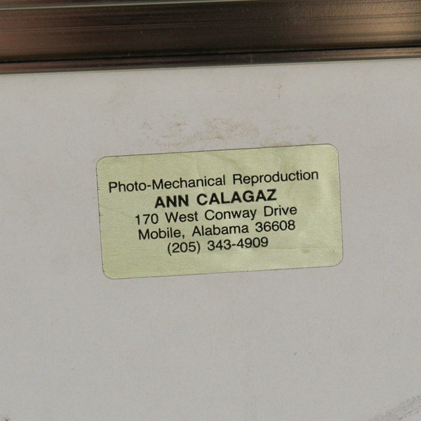 Ann Calagaz Framed Watercolor Painting Art 22.5 x 28.25 Signed