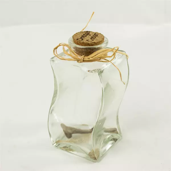 Wavy Glass Jar with Cork Lid Oregon Coast Souvenir Coastal Decor