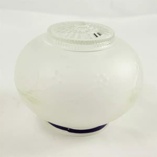 Vintage Frosted Art Deco Glass Globe Ceiling Light Shade Etched Vines & Berries