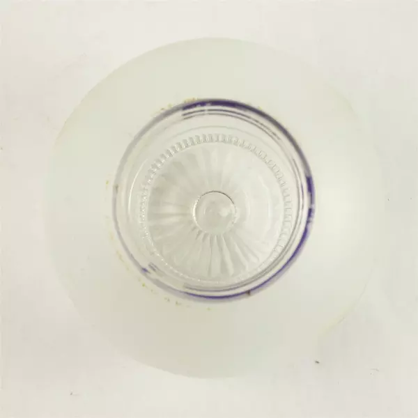 Vintage Frosted Art Deco Glass Globe Ceiling Light Shade Etched Vines & Berries