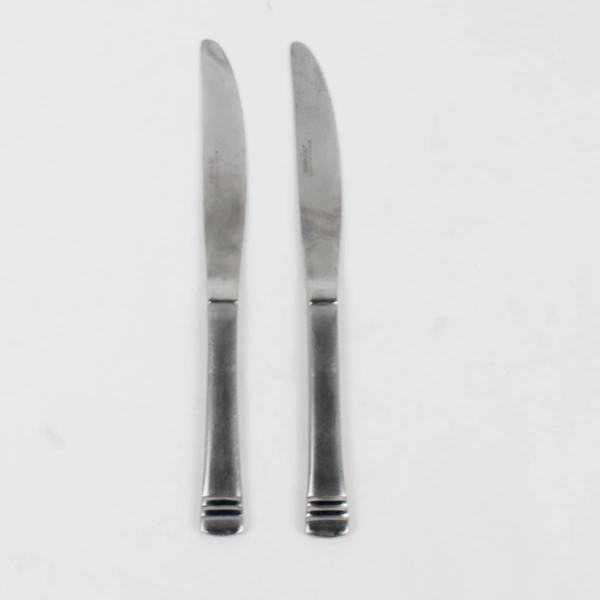 Lot Of 2 Cambridge Silver Codie Pattern Dinner Knives Stainless 8.5 Inches