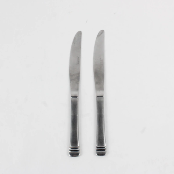 Lot Of 2 Cambridge Silver Codie Pattern Dinner Knives Stainless 8.5 Inches