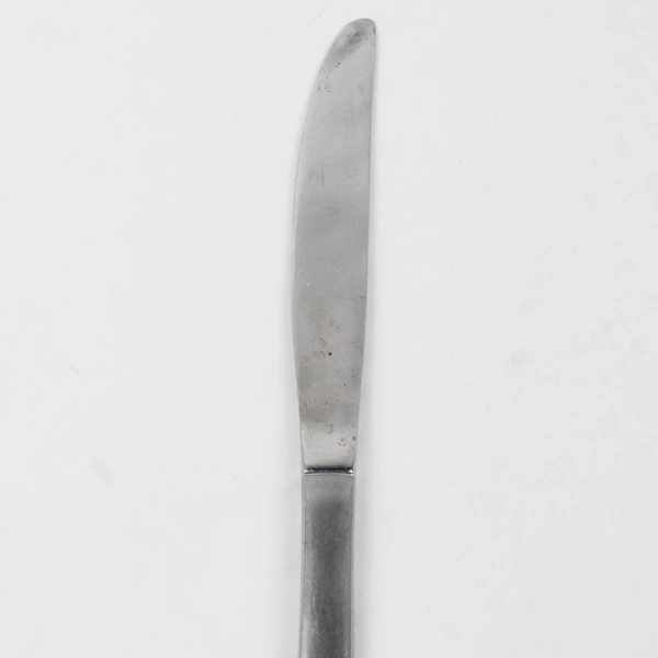 Lot Of 2 Cambridge Silver Codie Pattern Dinner Knives Stainless 8.5 Inches