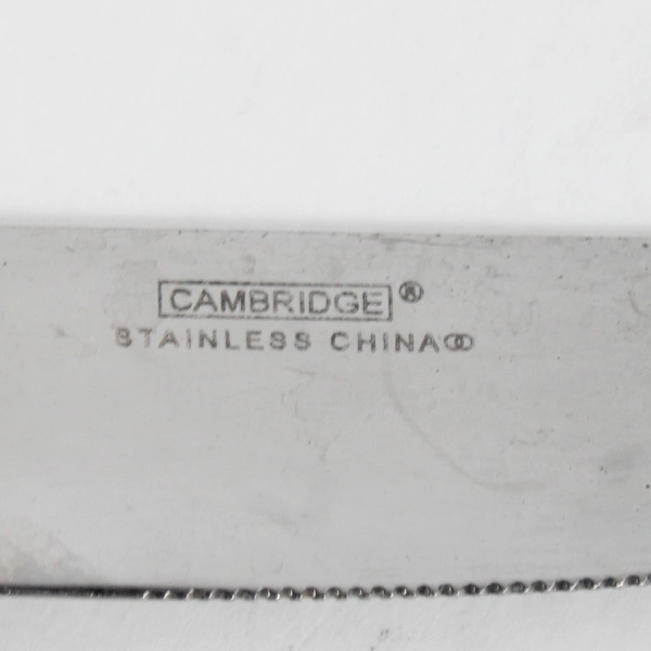 Lot Of 2 Cambridge Silver Codie Pattern Dinner Knives Stainless 8.5 Inches