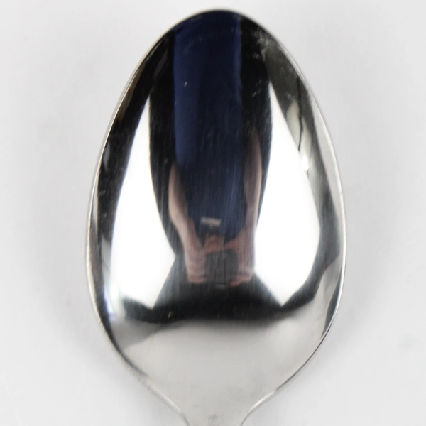 Oneida Silver Northland Danish Fling Pattern Teaspoon 6" Stainless New