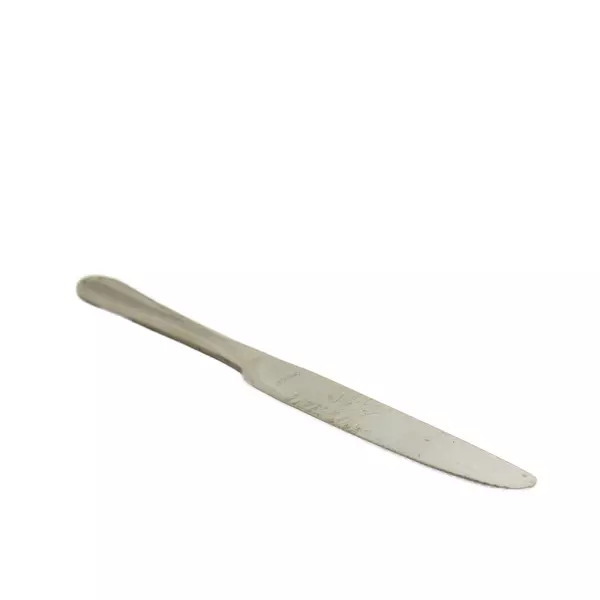 Oneida Silver Wagner Pattern 18/10 Stainless Steel Dinner Knife 9.5" Good