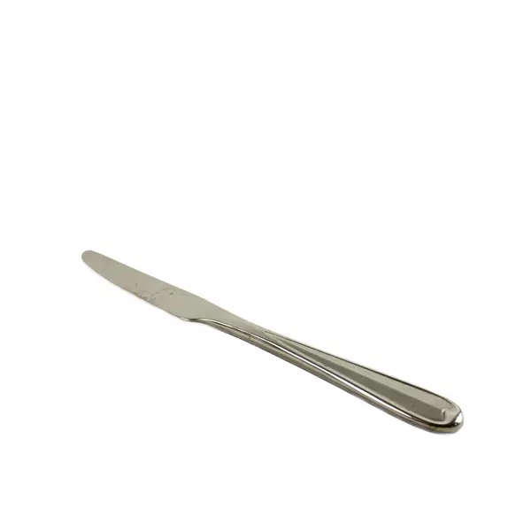 Oneida Silver Wagner Pattern 18/10 Stainless Steel Dinner Knife 9.5" Good