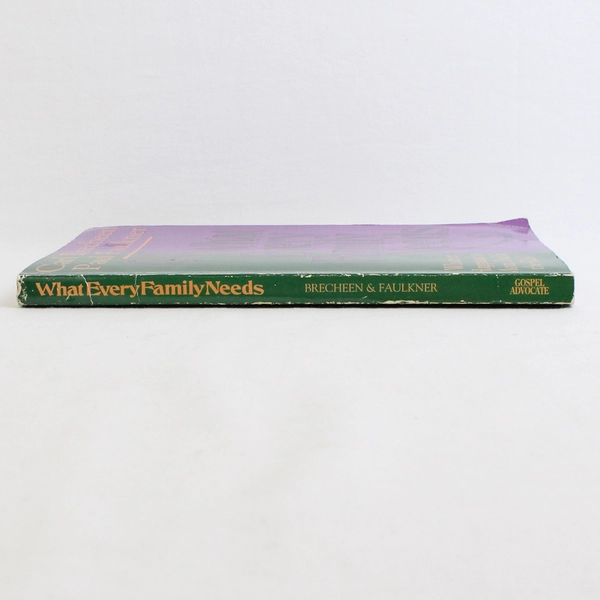 What Every Family Needs by Carl Brecheen Paul Faulkner 1994 Paperback