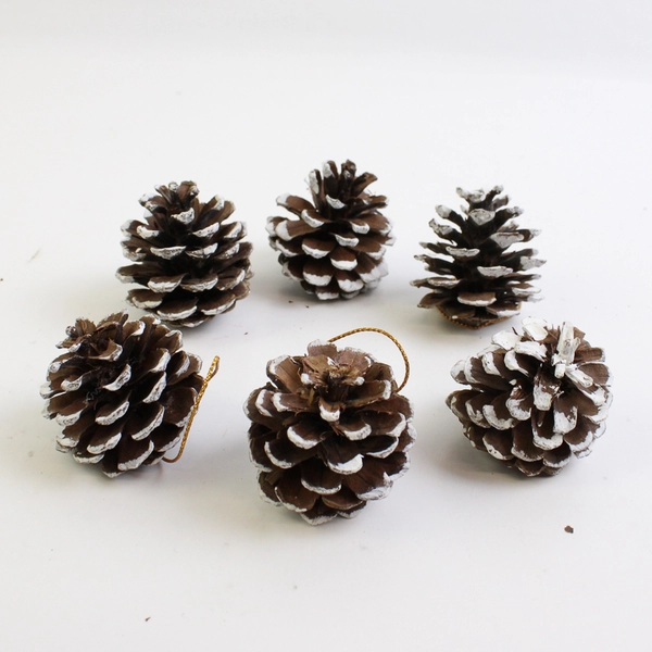 Lot of 21 Artificial Mistletoe Pieces & 6 Pinecones Hanging Decorations