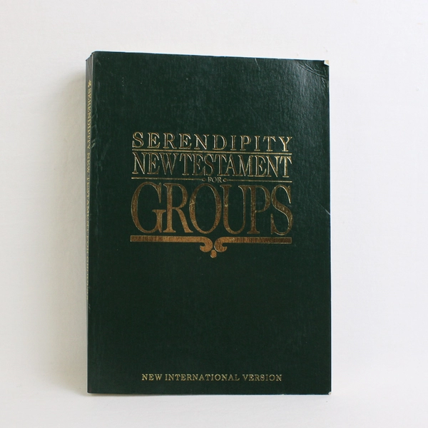 Serendipity New Testament for Groups 1990 Paperback 3rd Ed New International Ver