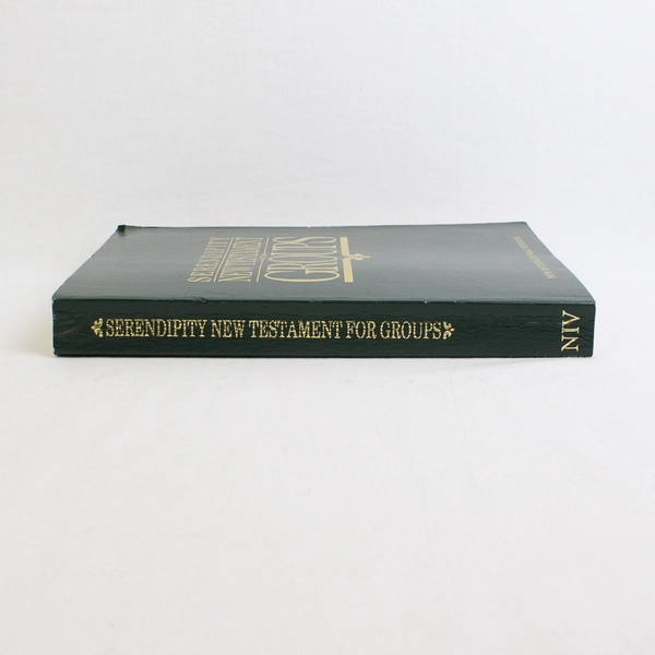 Serendipity New Testament for Groups 1990 Paperback 3rd Ed New International Ver