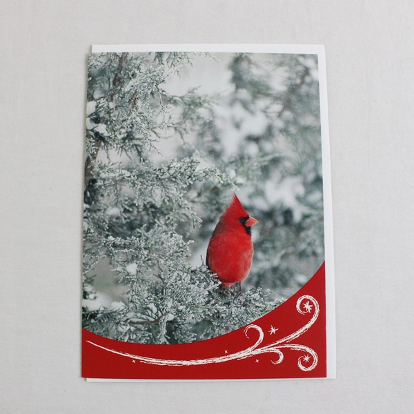 Lot of 4 World Wildlife Fund Christmas Greeting Cards with Envelopes