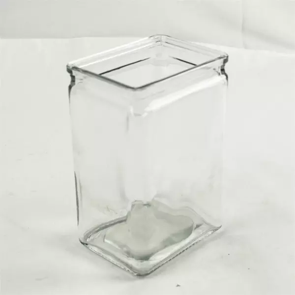 Clear Glass Cube Vase 3 x 3.75 x 6 in Modern Square Tabletop Decor