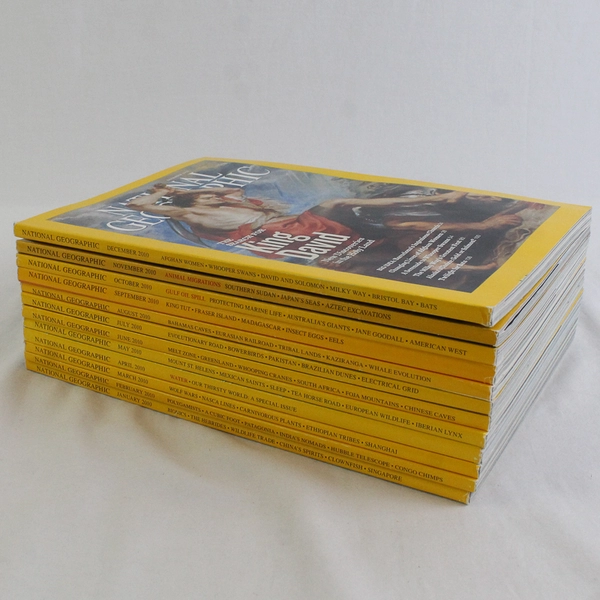 Lot of 12 National Geographic Magazines 2010 Complete Set Good