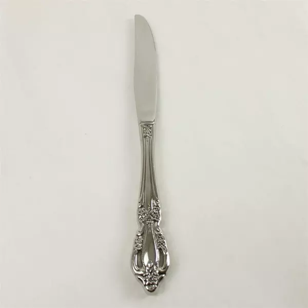 Set of 6 Oneida Raphael Stainless Hollow Handle Modern Dinner Knives 