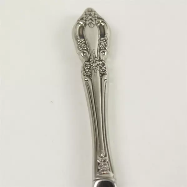 Set of 6 Oneida Raphael Stainless Hollow Handle Modern Dinner Knives 