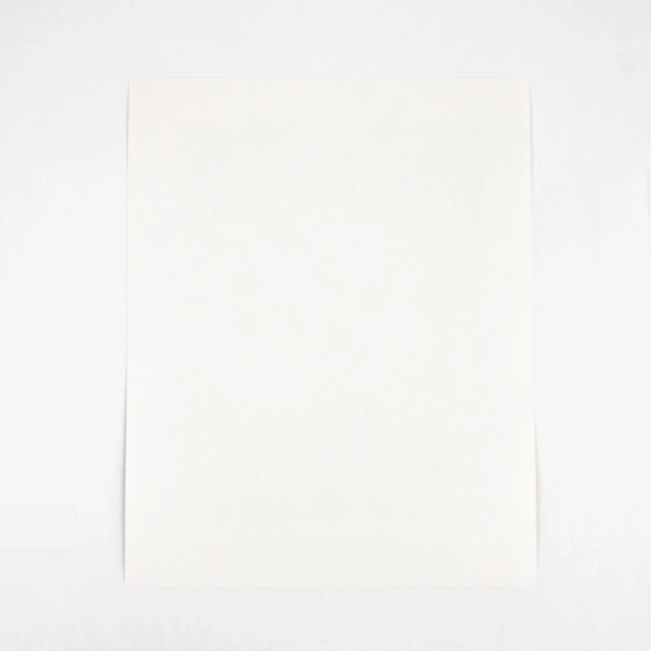 President Bill Clinton Official Portrait 8X10 Photo Autopen Signature