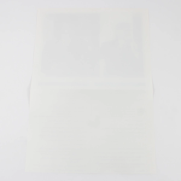 President Bill Clinton Vice President Al Gore Biography Fact Sheet