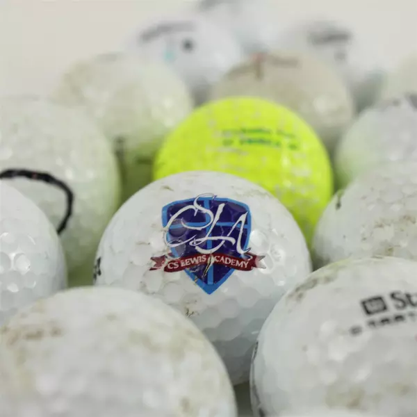 Lot of 19 Wilson Golf Balls Used Good Pre-Owned