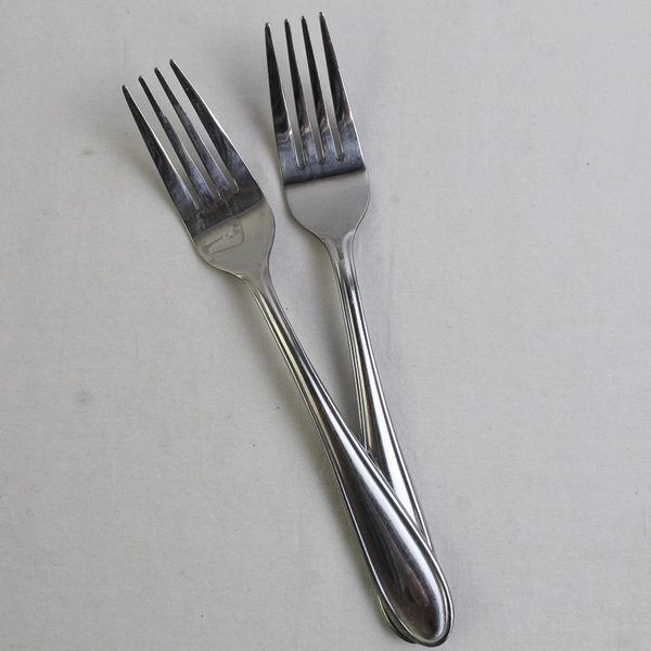 Lot Of 6 Hampton Silversmiths Erin (Stainless) Flatware 2 Salad 4 Dinner Forks