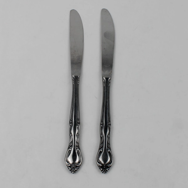 Lot of 2 Hampton Court Stainless Steel Dinner Knives 8.75" Japan Flatware
